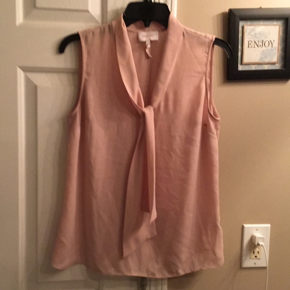 Blush semi sheer blouse